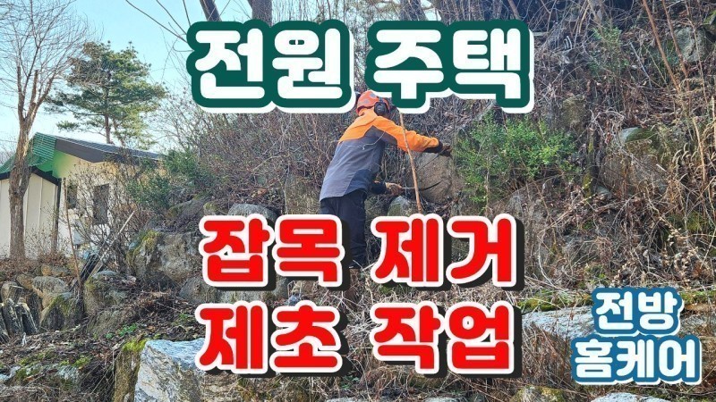 전방 홈케어 - 제초, 잡목 제거, 낙엽 청소 시공 사례 (가평 설악)