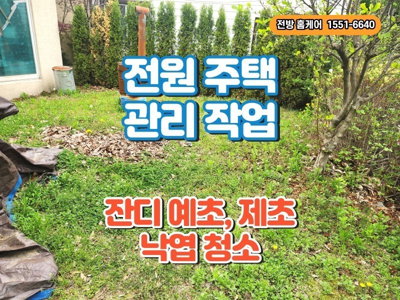 잔디 예초, 잡초 제초, 낙엽 청소 작업 (가평 설악)