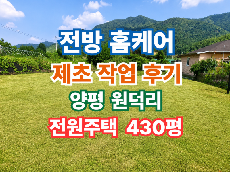 🏡 전방 홈케어 예초, 제초 작업 후기 (양평 원덕리)